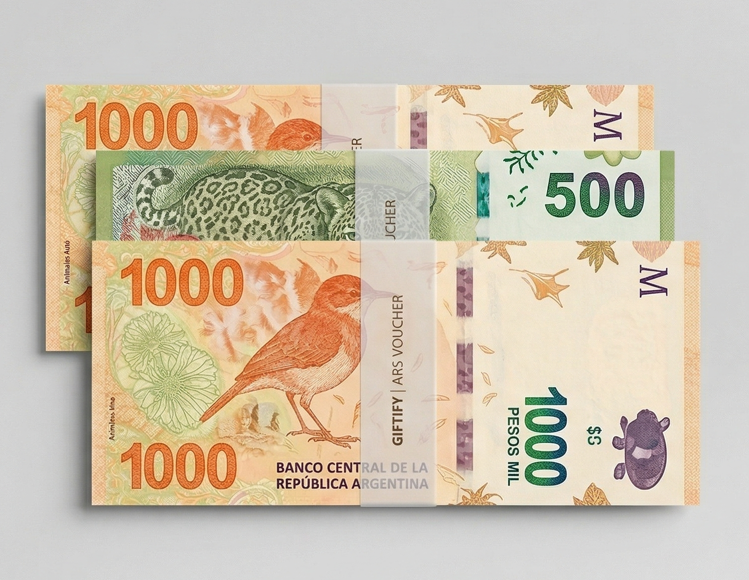 Voucher 300.000 ARS